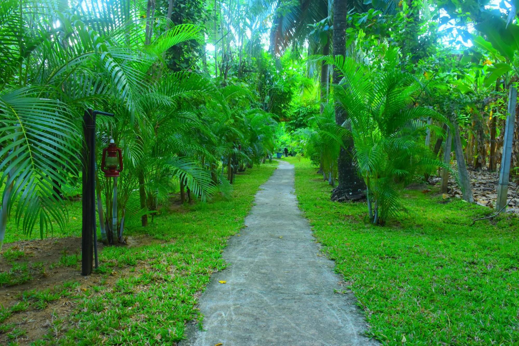 Wild Lake Side Udawalawe Exteriör bild