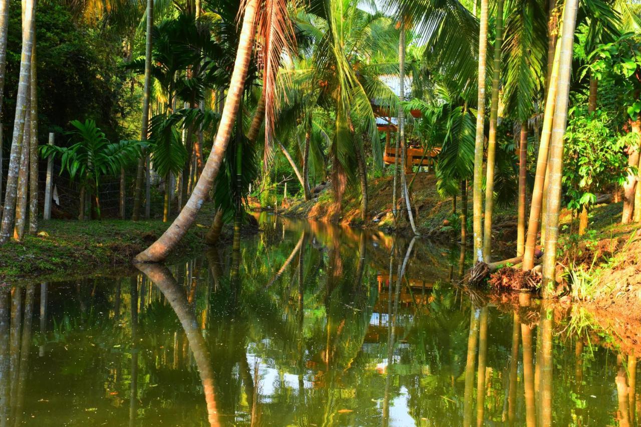 Wild Lake Side Udawalawe Exteriör bild