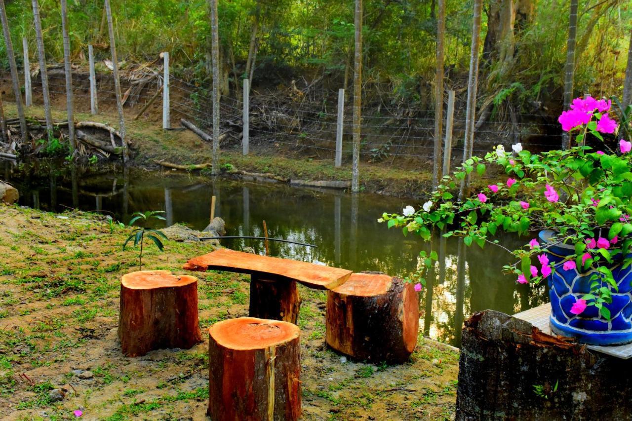 Wild Lake Side Udawalawe Exteriör bild